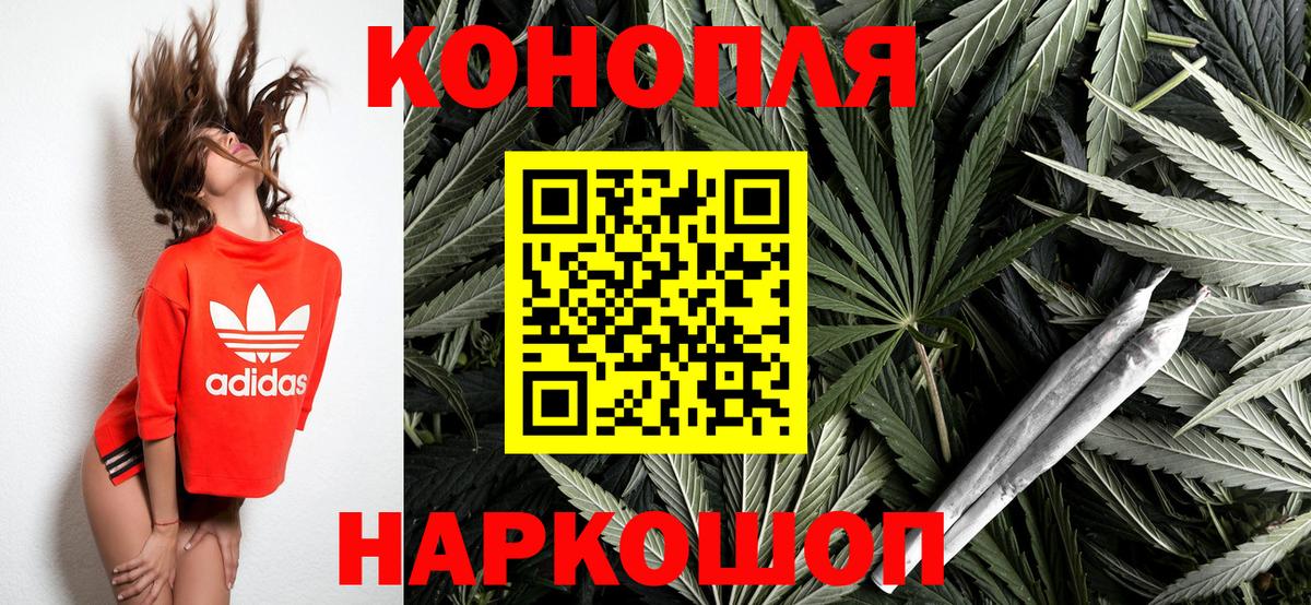Бошки Шишки планчик Мариинск